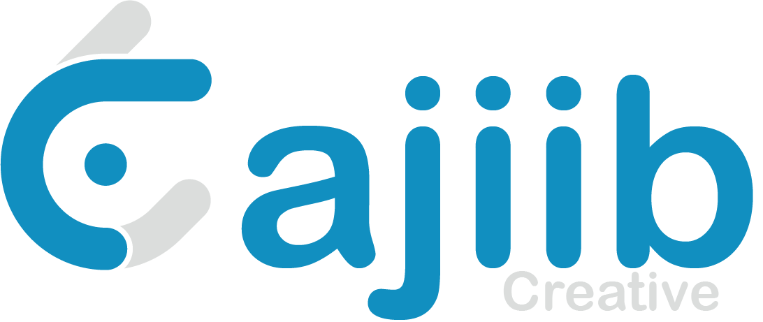Web & App developer